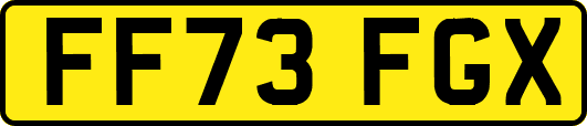 FF73FGX