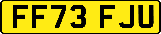 FF73FJU