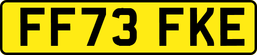 FF73FKE