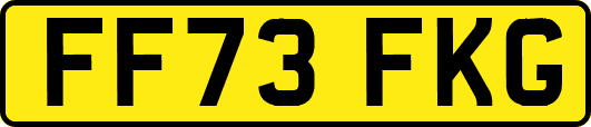 FF73FKG