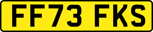 FF73FKS