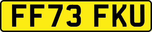 FF73FKU