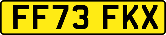 FF73FKX