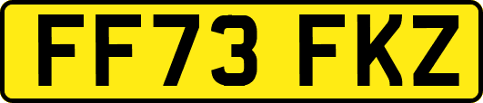 FF73FKZ