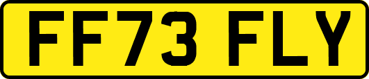 FF73FLY