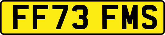 FF73FMS