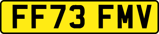 FF73FMV