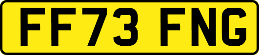 FF73FNG