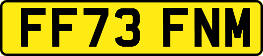 FF73FNM