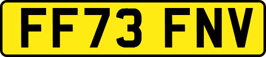 FF73FNV