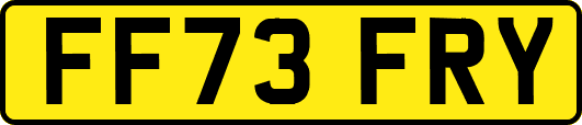 FF73FRY