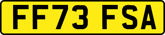 FF73FSA
