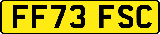 FF73FSC