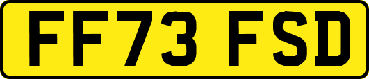 FF73FSD