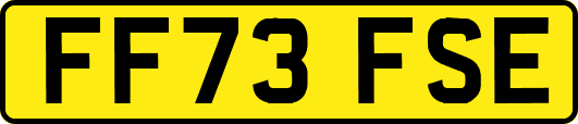 FF73FSE