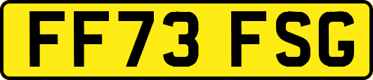 FF73FSG