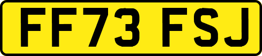 FF73FSJ