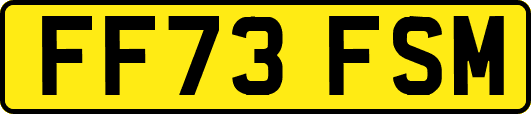 FF73FSM