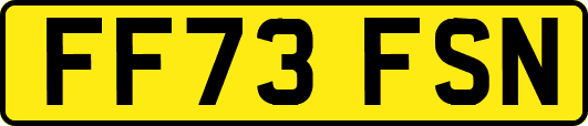 FF73FSN