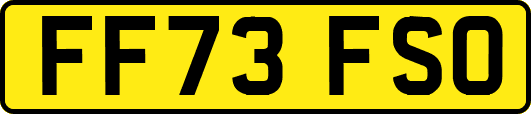 FF73FSO