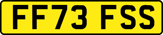 FF73FSS