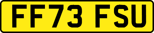 FF73FSU