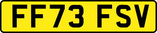 FF73FSV
