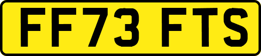 FF73FTS