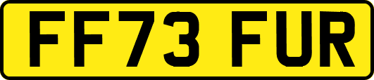FF73FUR