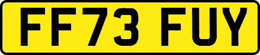 FF73FUY