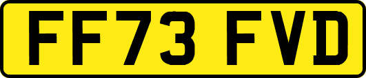 FF73FVD