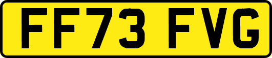 FF73FVG