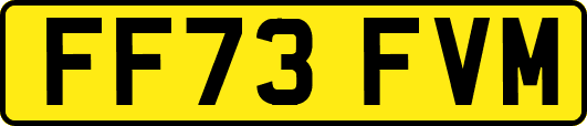 FF73FVM