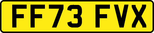 FF73FVX