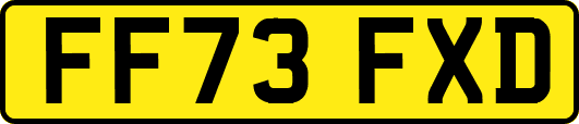FF73FXD