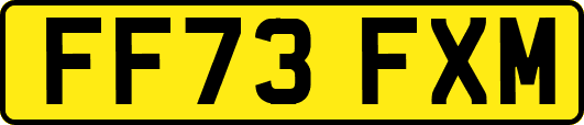 FF73FXM