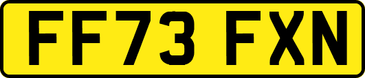 FF73FXN
