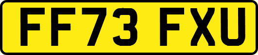 FF73FXU