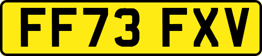 FF73FXV