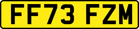 FF73FZM