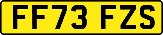 FF73FZS