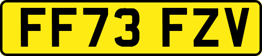 FF73FZV