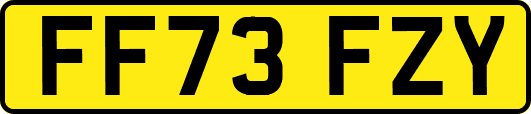 FF73FZY
