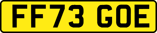 FF73GOE