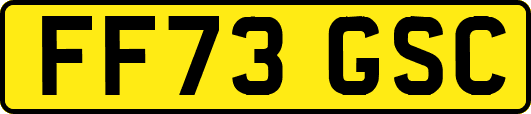 FF73GSC