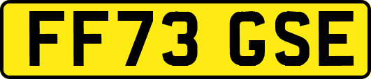 FF73GSE