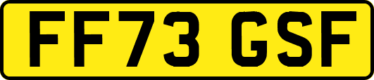 FF73GSF