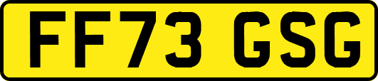 FF73GSG