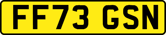 FF73GSN