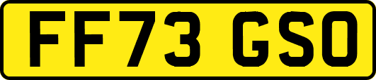 FF73GSO